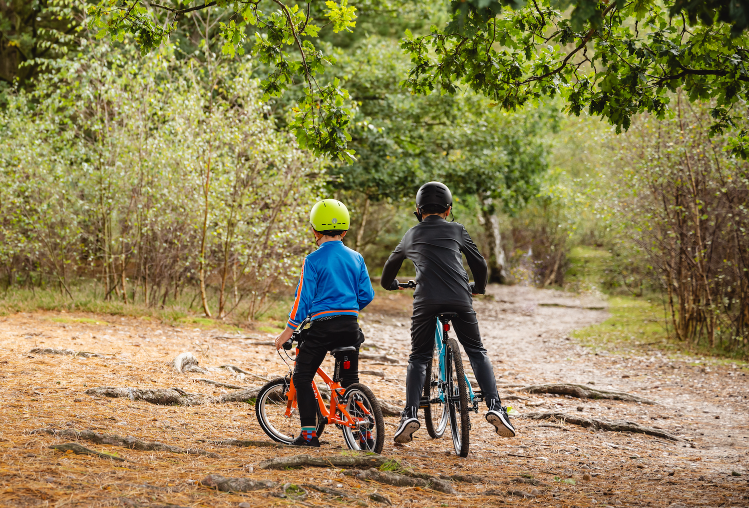 5 Easy Autumn Family Cycle Routes in the UK