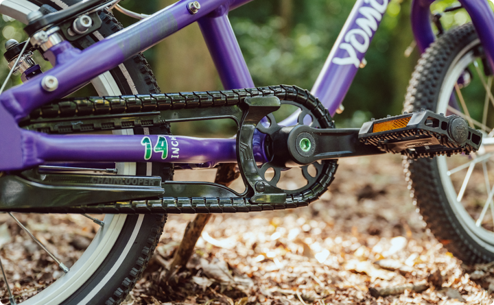 Compact chainguard